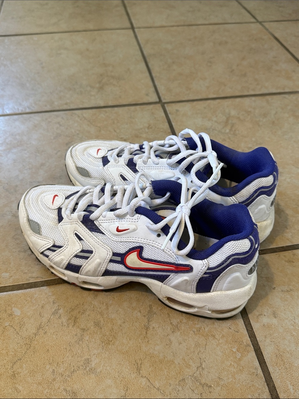 Nike Air Max Sneakers